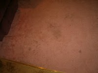 West Bridgford Carpet Cleaners 353492 Image 2